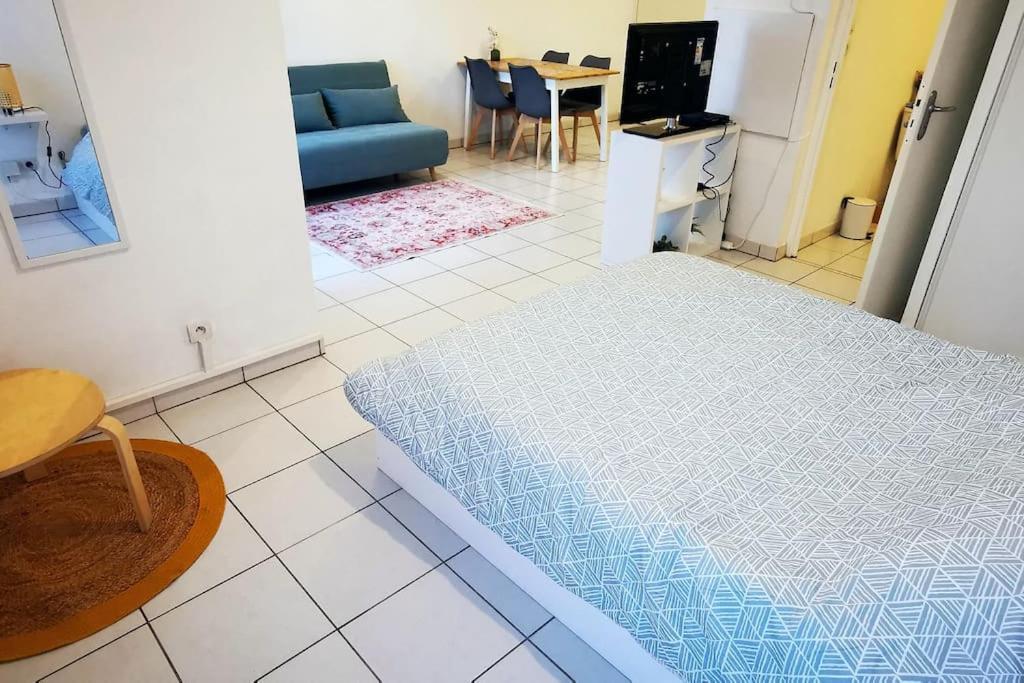 Grand Studio Lumineux Et Sa Terrasse Au Calme Toulouse Eksteriør bilde