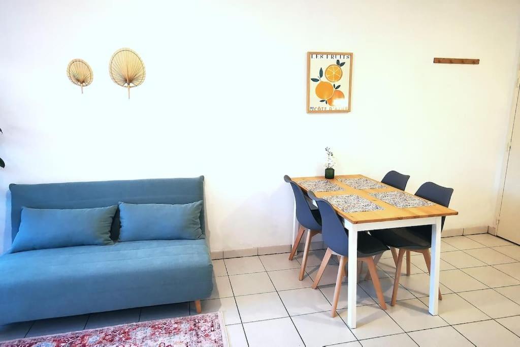 Grand Studio Lumineux Et Sa Terrasse Au Calme Toulouse Eksteriør bilde