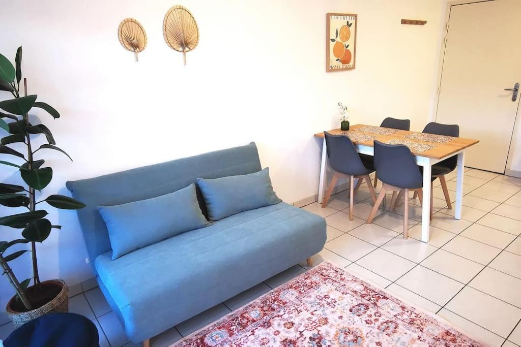 Grand Studio Lumineux Et Sa Terrasse Au Calme Toulouse Eksteriør bilde