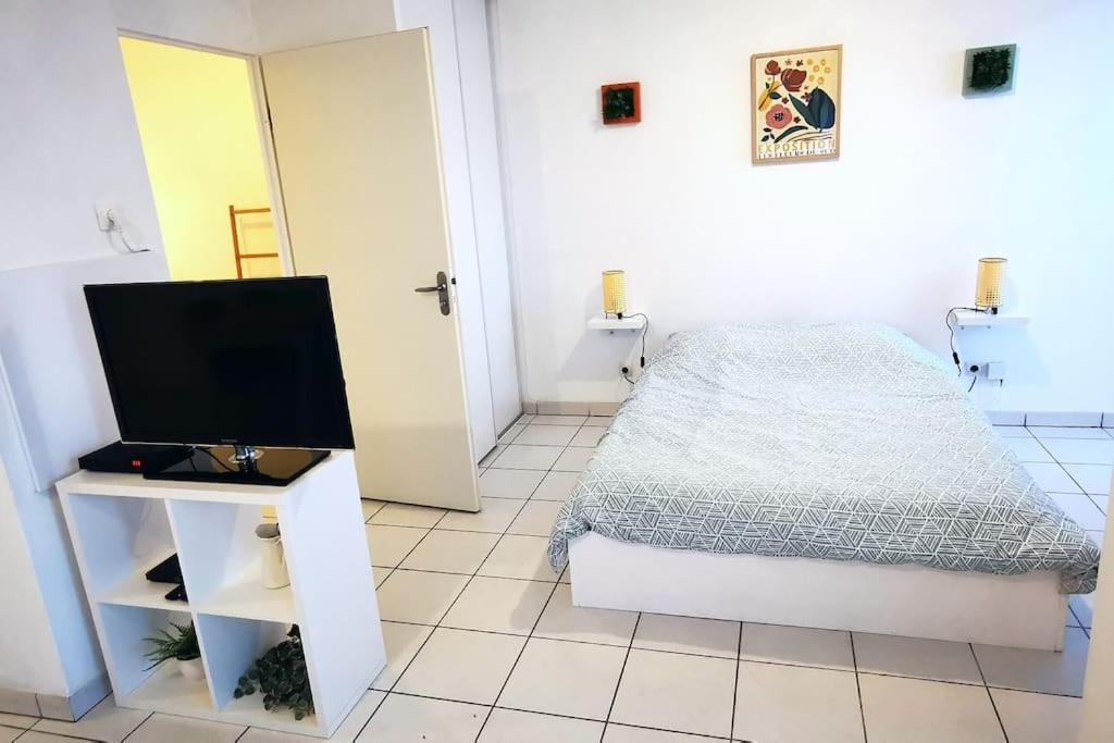 Grand Studio Lumineux Et Sa Terrasse Au Calme Toulouse Eksteriør bilde